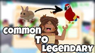 Common to legendary! | Roblox Adopt Me IzzyRoseRoblox