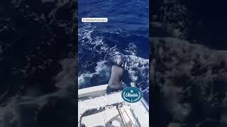 Punta Cana Fishing at Marlin Fever Yacht Marina Cap Cana, DR  2024 #puntacana #capcana #fishing