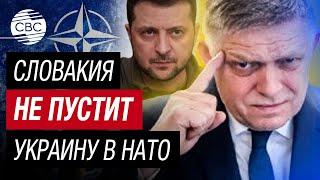 Это путь к мировой войне! Словакия выступила против присоединения Украины к НАТО