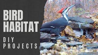 DIY Wild Bird Habitat Projects - Bird Pond, Stream, Dripper, Baths, & Puddle