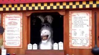 Universal Studio Donkey