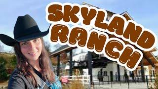 SkyLand Ranch in Sevierville, TN- An Experience Like No Other! Highland Cows!