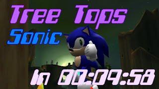 Sonic Adventure Speedrun - Tree Tops (Sonic) in 00:09:58