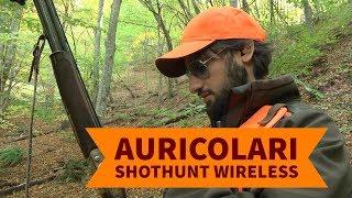 Caccia al cinghiale in battuta con auricolari SHOTHUNT Wireless