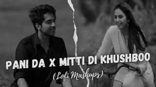 Pani Da x Mitti Di Khushboo (Lofi Mashup) | Ayushmann Khurrana | Error Vibes