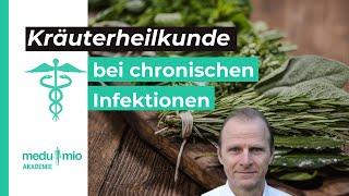Kräuterheilkunde: Abhilfe bei chronischen Infektionen   Heilpraktiker Dieter Berweiler