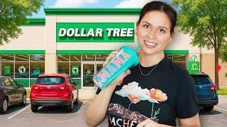 It Got WEIRD! The New Dollar Tree Products You NEED