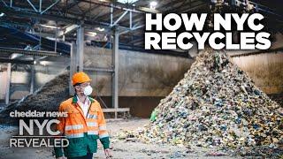 How Much Does New York Actually Recycle? - NYC Revealed