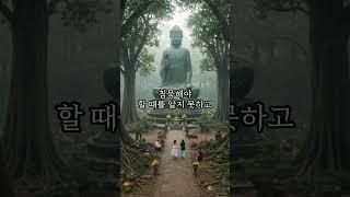 마음이 경솔하면 #부처님 #명언 #진리