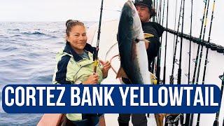 How to fish Cortez Bank for Yellowtail & LIMITS of Bluefin Tuna