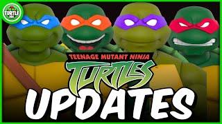NEW Ninja Turtles 2003 Figures Revealed, NEW TV Show Clips + More TMNT News!