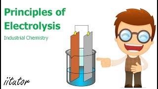 √ The Principles of Electrolysis Explained in Detail with Clear Examples