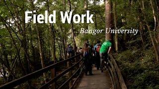 Field Work - School of Environment, Natural Resources and Geography