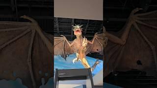 The Hungarian Horntail greeted us at the entrance of The Making of Harry Potter in Tokyo 