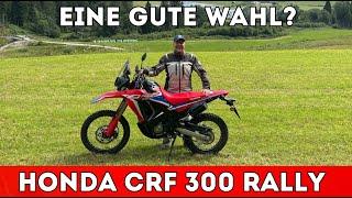 Eine gute Wahl? - Honda CRF 300 Rally