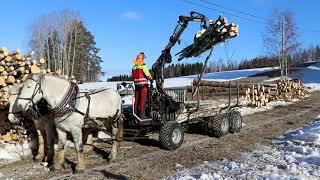 Horse Logging with Palms Grapple Loader and Log Trailer