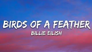 Billie Eilish - BIRDS OF A FEATHER (Lyrics)