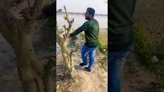 #short #style #action #beautiful #youtube #viralvideo #trending #river #like#views#wow#youtubeshorts