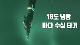 프리다이빙 18도 고성 바다 수심 타기