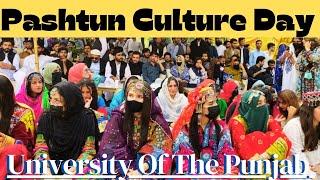 #Pashtun Culture Day Extravaganza | Cultural Celebrations at University of the Punjab, Lahore!