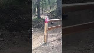 Wolverine Walks By Biker, Carrying Goat Head