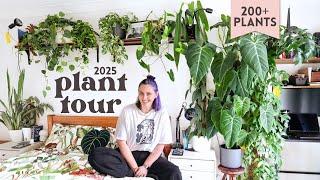 A tour of my 200+ houseplants  🪴 2025 Plant Tour