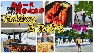 离开前到处找龙虾吃-马尔代夫Maldives旅游日记-居民岛Local Island Maafushi Island EP04