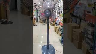 Quạt senko và panasonic
