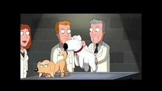 Family Guy - Brian Enters Dog Show