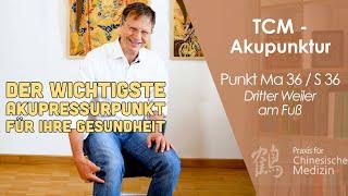 Akupunktur-Punkt Magen 36, einer der wichtigsten TCM-Punkte u.a. zur Stärkung des Immunsystems