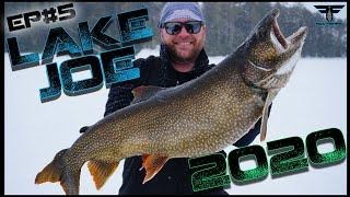 WE CAUGHT A MONSTER! Fox Fishing Episode #5, Lake Joseph Laker Fishing 2020.