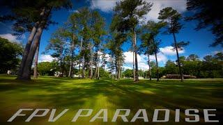 the famous @captainvanover tree spot! | FPV freestyle.