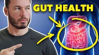 Why Your Gut Health Is SO Important - An Intro to Common Issues and Treatments