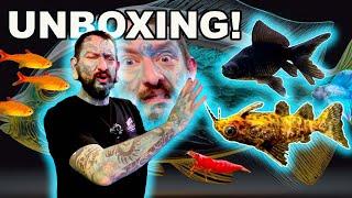 UNBOXING GWESOME GOLDFISH! SUPER SHRIMP!! COOL CATFISH!!! Paul's Aquariums