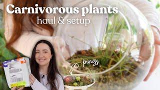 Carnivorous Houseplant Unboxing & Adding to My Terrarium 