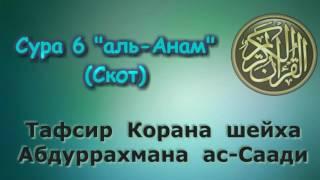 06. Тафсир суры аль-Анам (Скот)