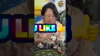 Capricórnio ️ junho mudanças