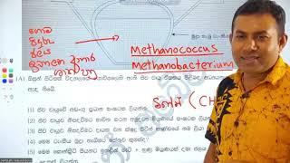 Grade 9 Science 2024  | Lesson 01 | Tute discussion- Part 2    2024.03.09