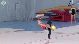 Красота, грация и изящество. Юные гимнастки из Новосибирска на баннерах "Герои с нашего двора"