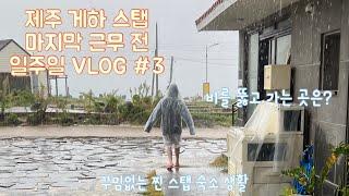 제주도 게하 스탭 VLOGㅣ비오는 휴무날은 막걸리지ㅣ찐 숙소 생활