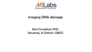 Imaging DNA damage