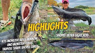 Giant Snakehead Fishing | Highlights | Tarlac Philippines | Toman Fishing