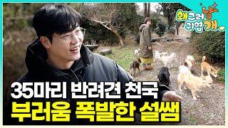 "저도 은퇴 후에 이렇게 살고 싶어요" 수의사 생활을 그만두고 서울 떠나 시골로 들어와 35마리의 유기견들과 행복하게 사는 보호자 본 설쌤 반응│#왜그러냥귀엽개