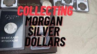 ️MORGAN SILVER DOLLARS️ A Painful journey to collecting them all️