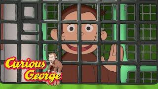 George's Animal Jailbreak  Full Episodes | Curious George