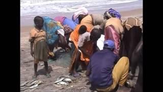 The Fishermen of Abéne, Casamance (Senegal)