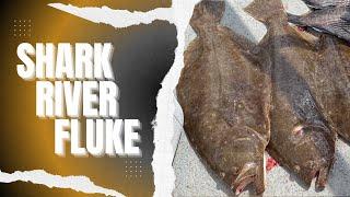 Fishing Shark River In Belmar NJ For Fluke