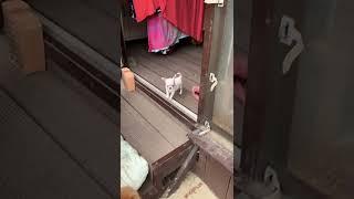 Маленькие чудеса.