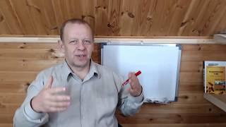 Методы пчеловодства и пчеловодство как бизнес - Владимирский улей лежак.