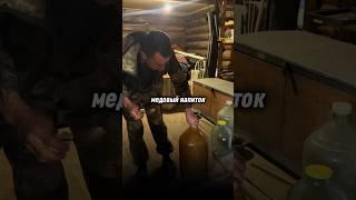 Медовый напиток #медовуха #пчелопродукты #мед
